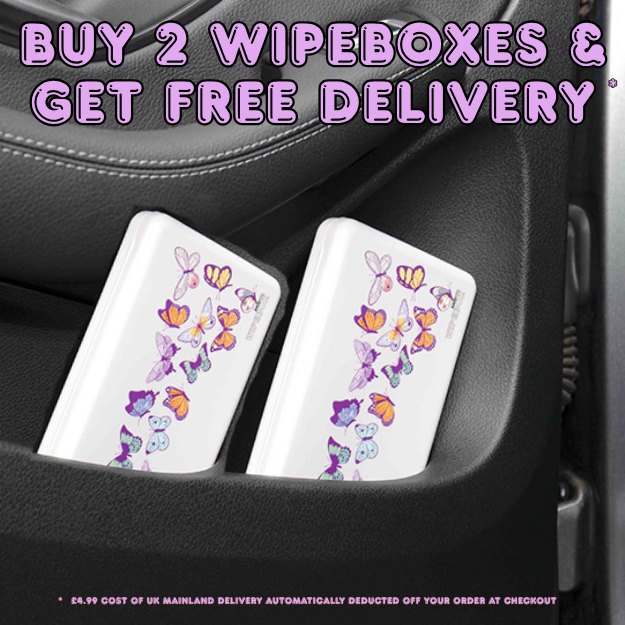 The Wipebox: The Portable, On The Go Sealed Baby Wipes Case
